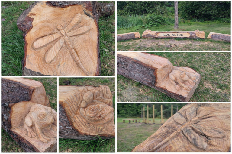 Carvings and wooden activity trails at Los Altos Park